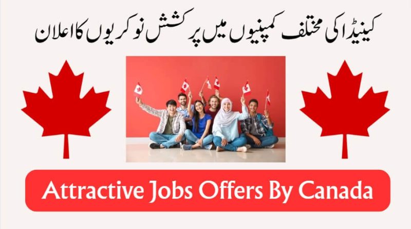Multiple jobs offers in Canada