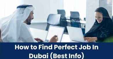 How to Find Perfect Job In Dubai (Best Info)