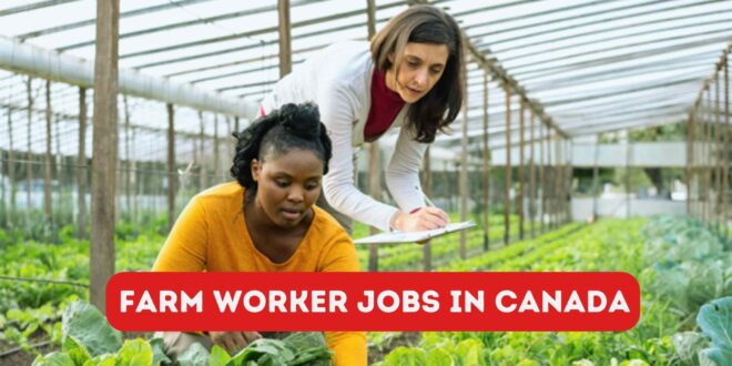 Farm Worker Jobs In Canada