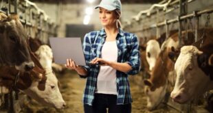 Dairy farm worker jobs in Canada