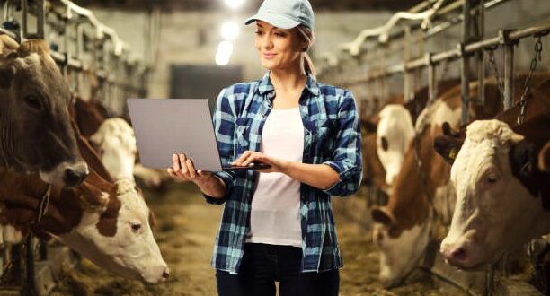 Dairy farm worker jobs in Canada