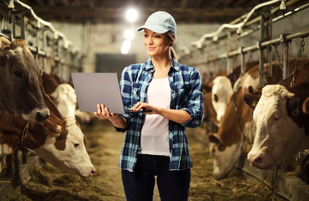 Dairy farm worker jobs in Canada